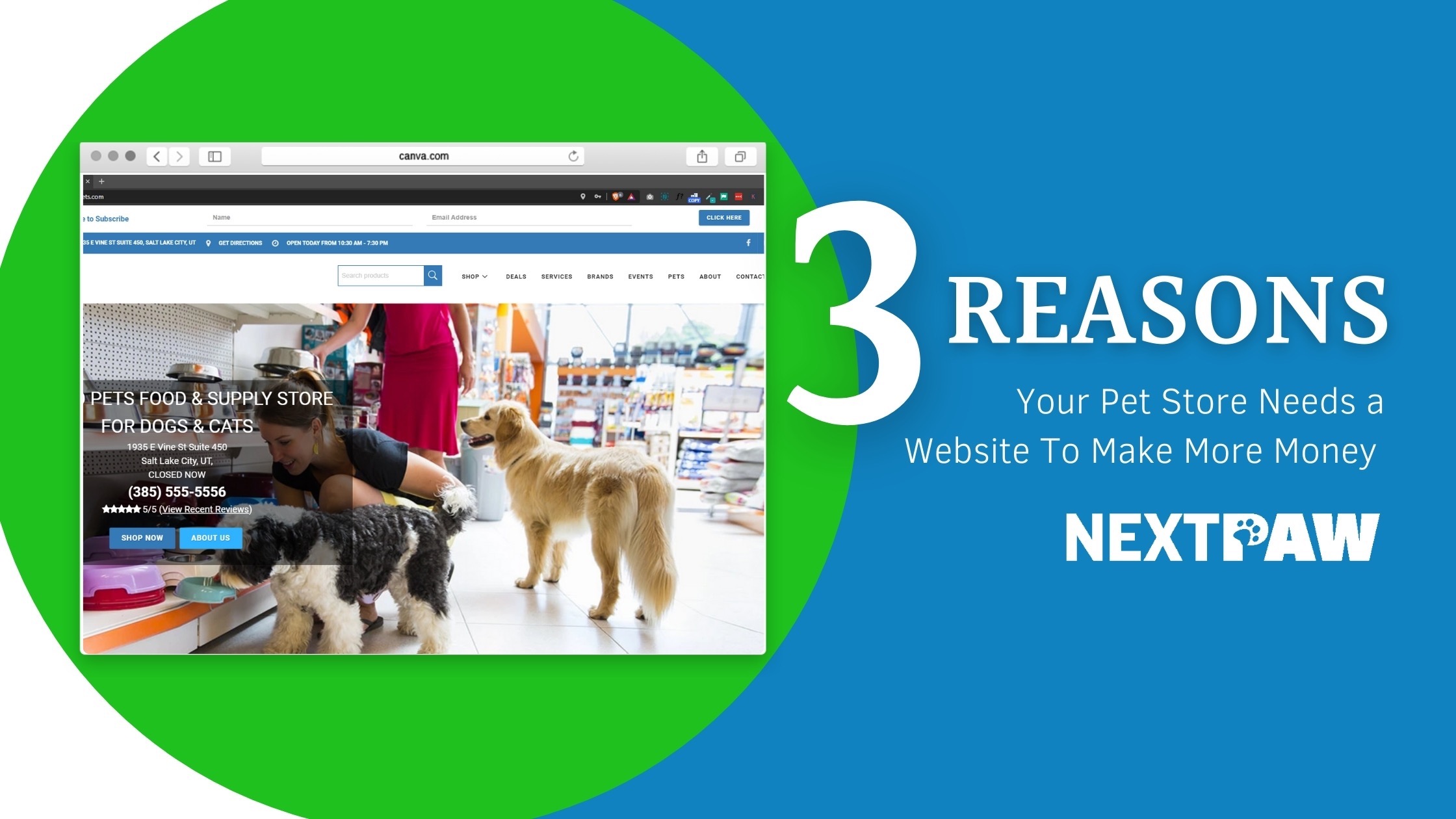 3 Reasons Why Your Pet Store Needs a Website To Make More Money