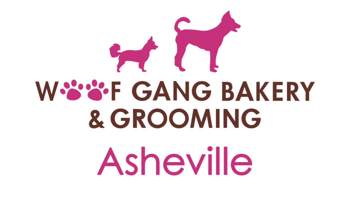 ashville-logo