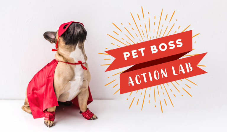 pet-boss-nation-action-lab