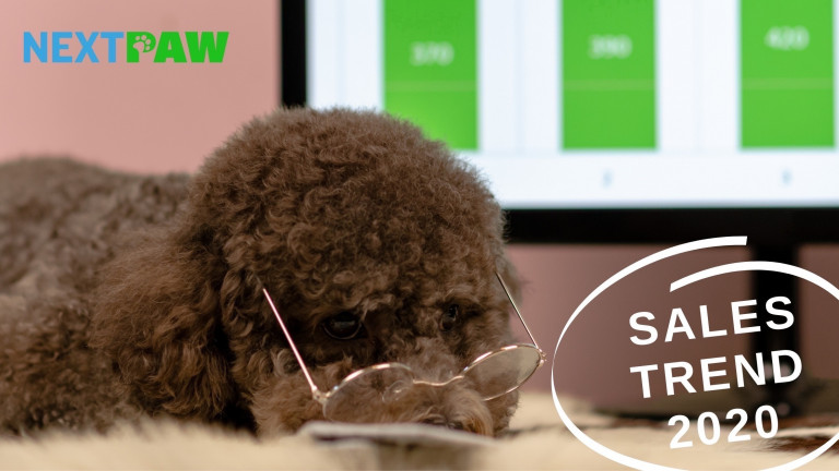 Looking at the State of Local Pet Businesses in 2020- NextPaw