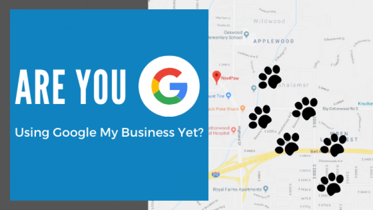 pet-business-marketing-rank-high-google-maps